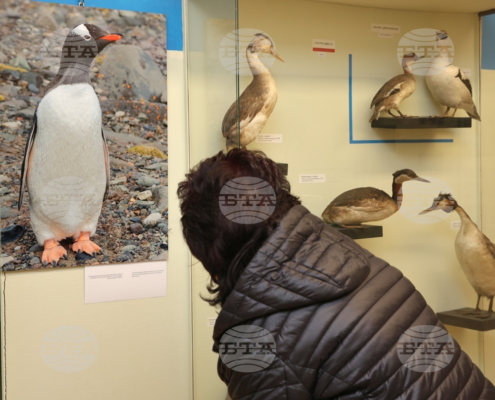 Варна - „С полета на птиците по пътя към Антарктида“ - фотоизложба
