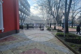 Генерал Тошево - „Голямата усмивка“ -  карнавал