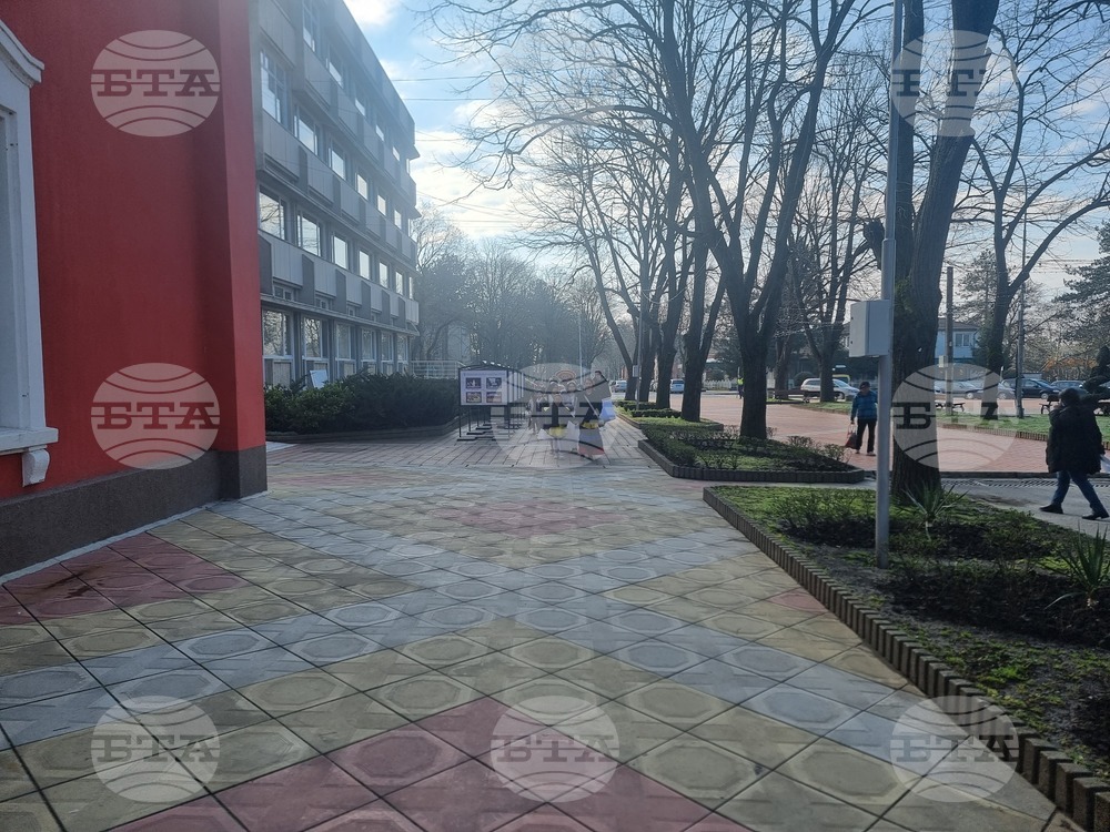 Генерал Тошево - „Голямата усмивка“ -  карнавал