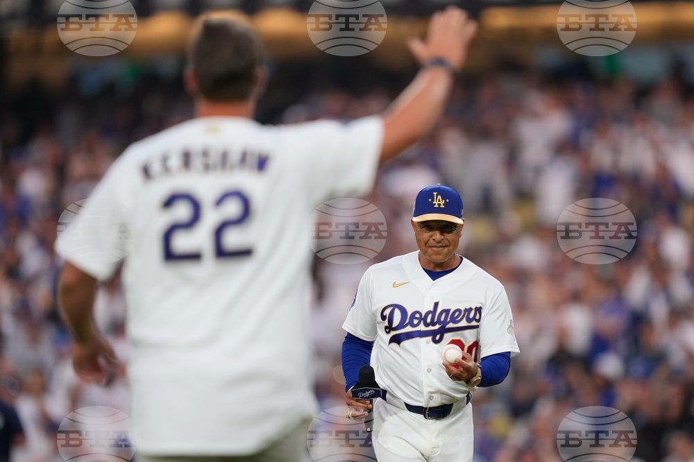 The Nerve Factor Basketball