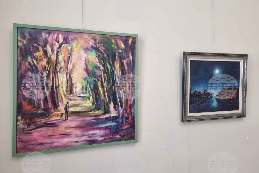 Плевен - Даниела Табакова - изложба