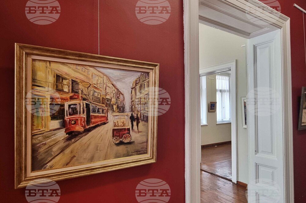 Плевен - Даниела Табакова - изложба