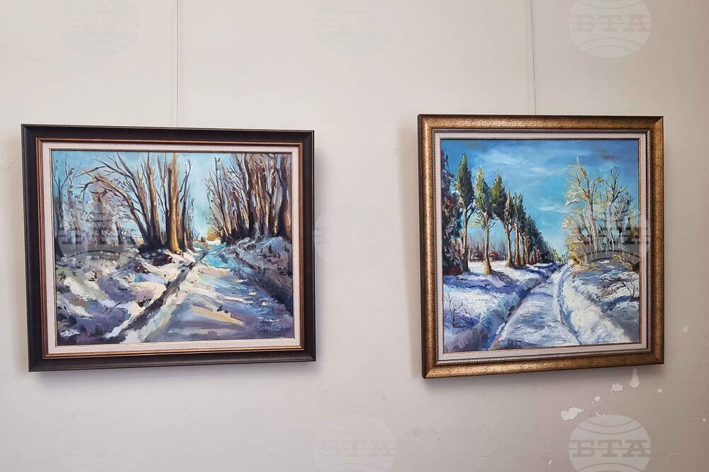 Плевен - Даниела Табакова - изложба