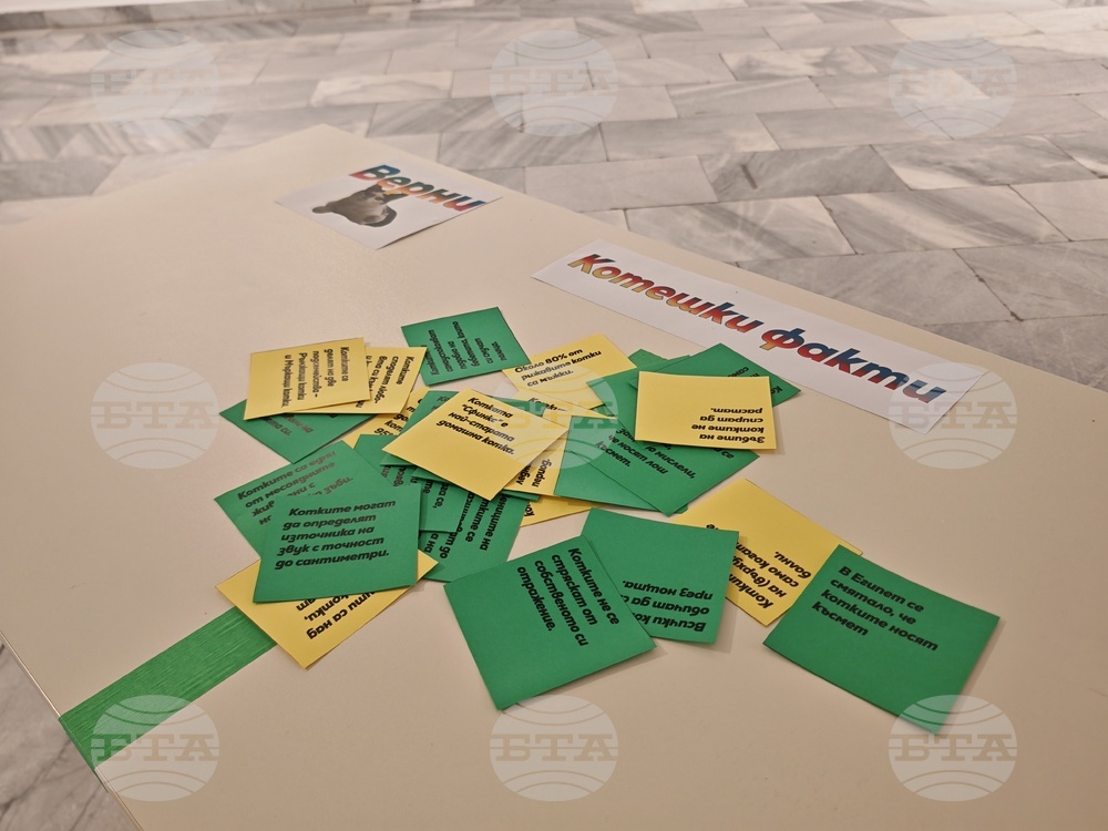 Габрово - Ден на шегата - Музей на хумора и сатирата