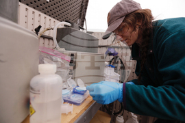 Climate Warming Winters Pollution