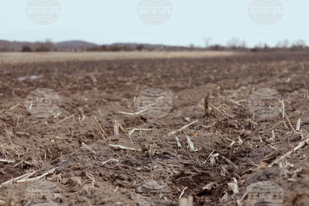 Climate Warming Winters Pollution