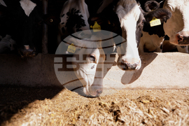 Climate Warming Winters Pollution