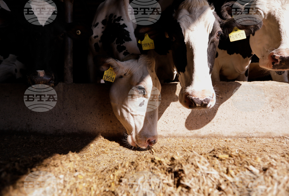 Climate Warming Winters Pollution