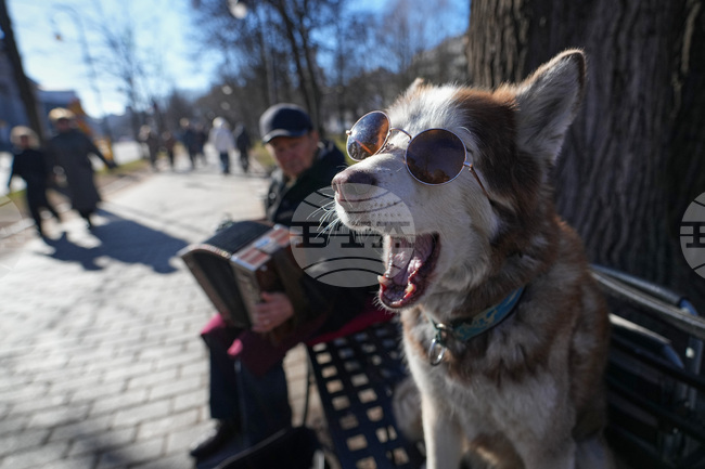 APTOPIX Russia Daily Life