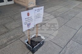 Добрич - протест - улици