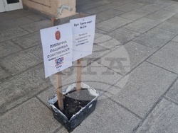 Добрич - протест - улици