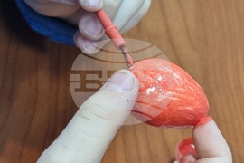 Северна Македония - Български културно-информационнен център - Великденска работилница