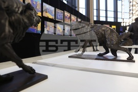 Национален дворец на културата - "Пластове цвят" - изложба