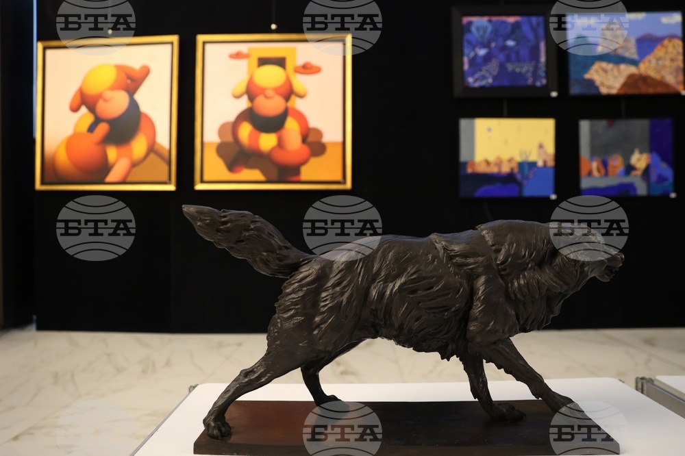 Национален дворец на културата - "Пластове цвят" - изложба