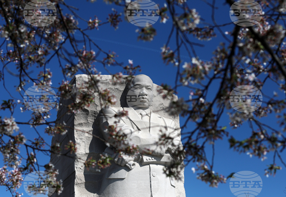 Washington Cherry Blossoms