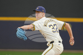 Rays Brewers Baseball