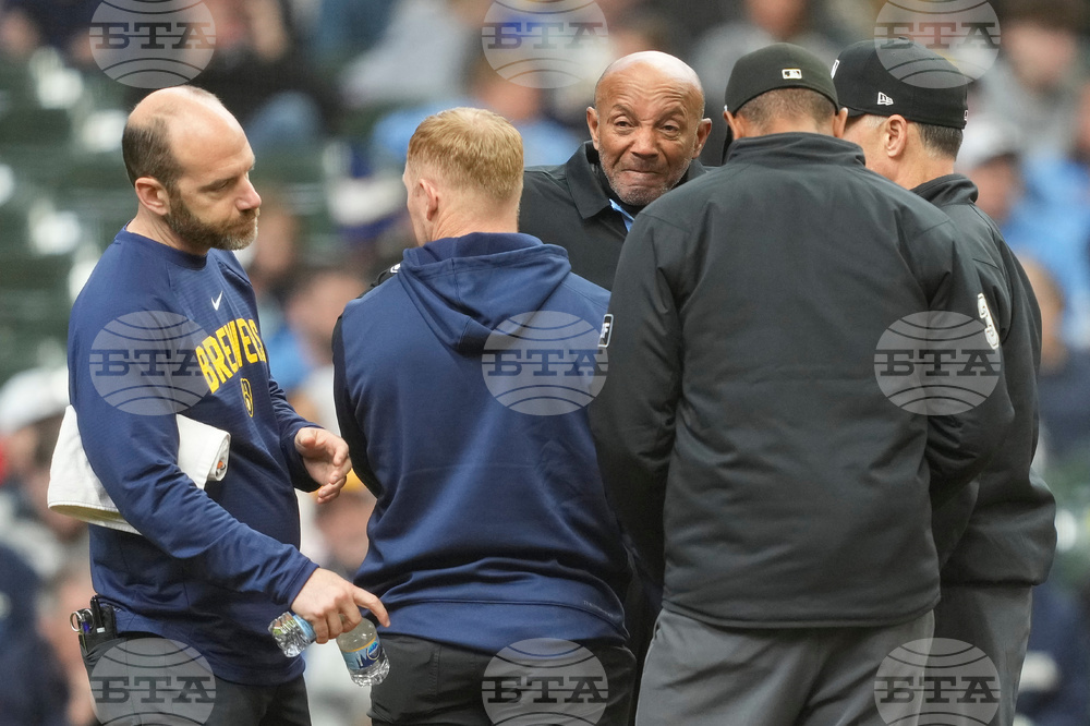 Rays Brewers Baseball