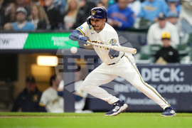 Rays Brewers Baseball