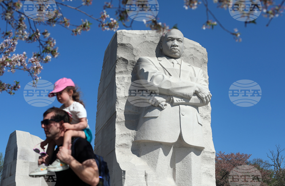 Washington Cherry Blossoms