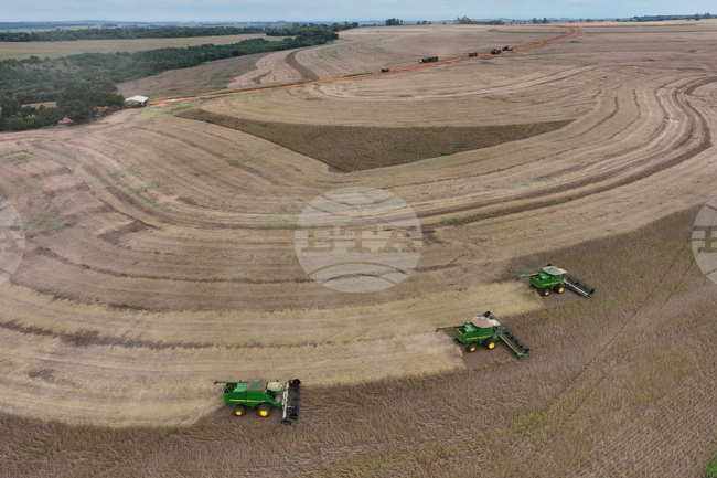 Brazil Soybean Harvest