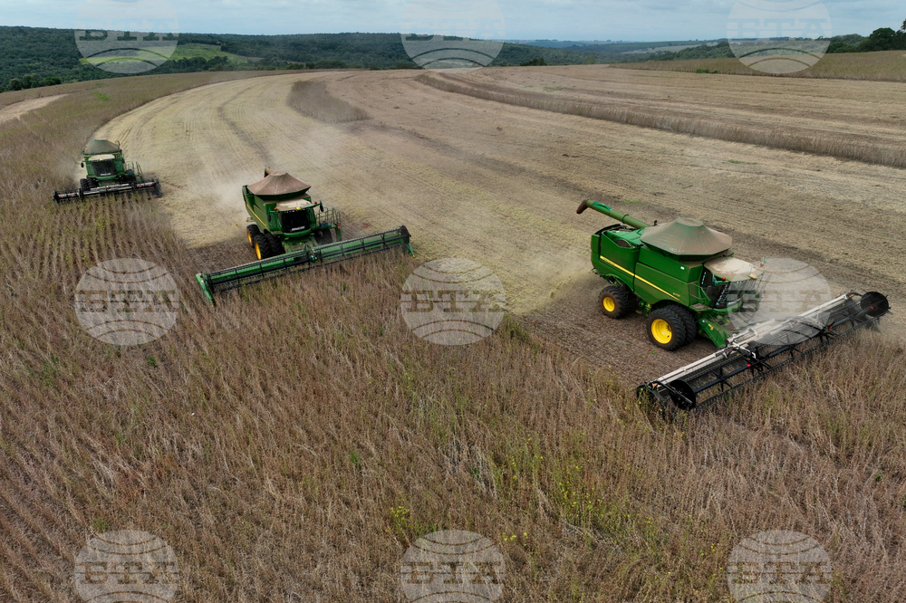 Brazil Soybean Harvest