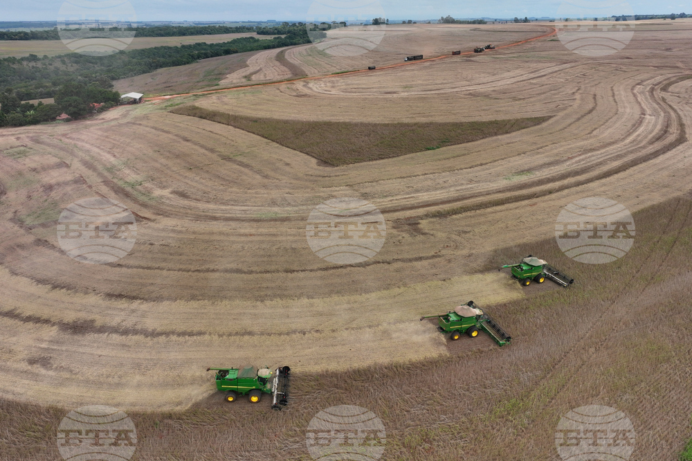 Brazil Soybean Harvest