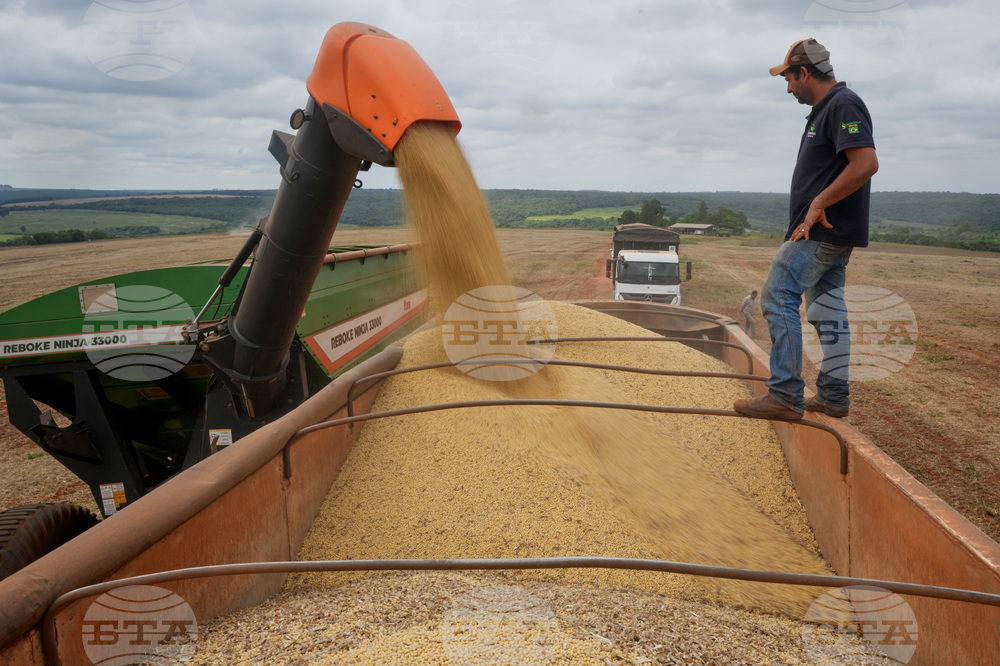 Brazil Soybean Harvest