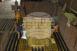 Brazil Soybean Harvest