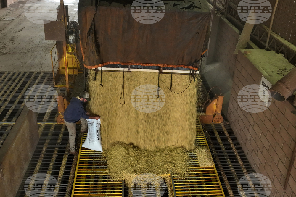 Brazil Soybean Harvest