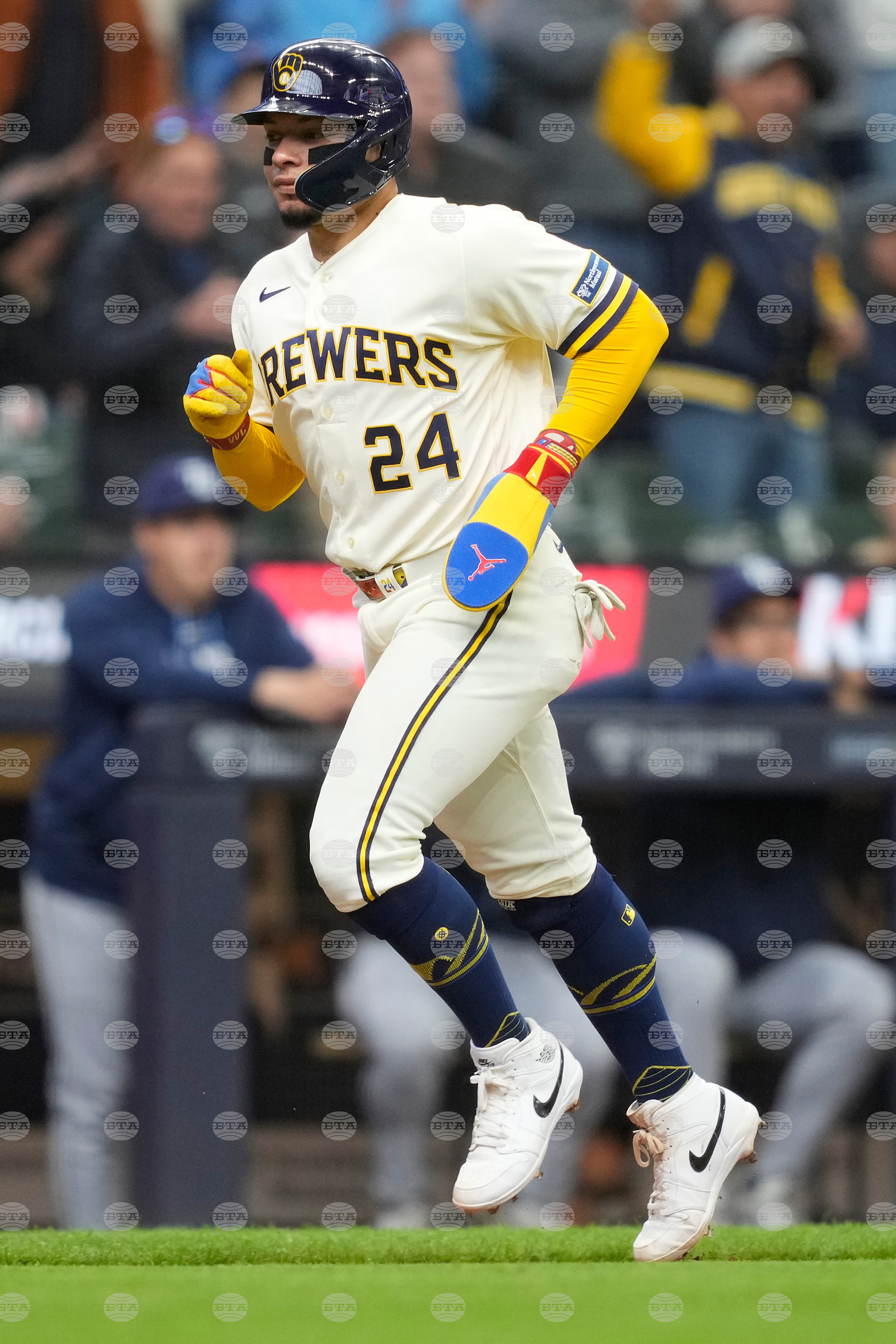Rays Brewers Baseball