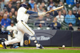 Rays Brewers Baseball
