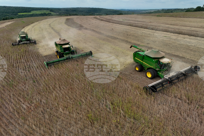 APTOPIX Brazil Soybeans