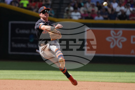 Tigers Diamondbacks Baseball