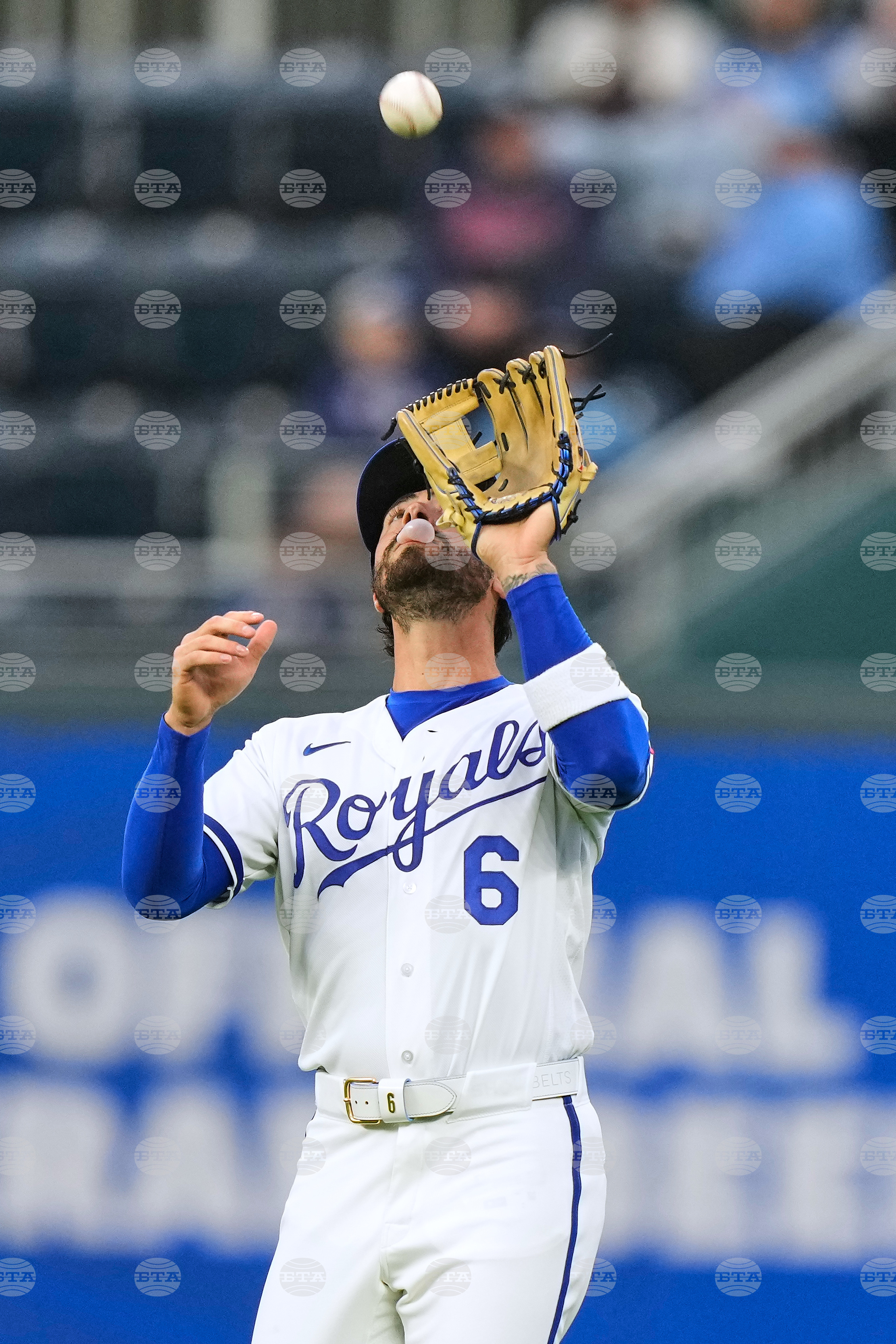 Twins Royals Baseball