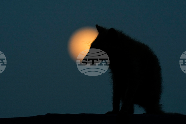 APTOPIX Panama Full Moon