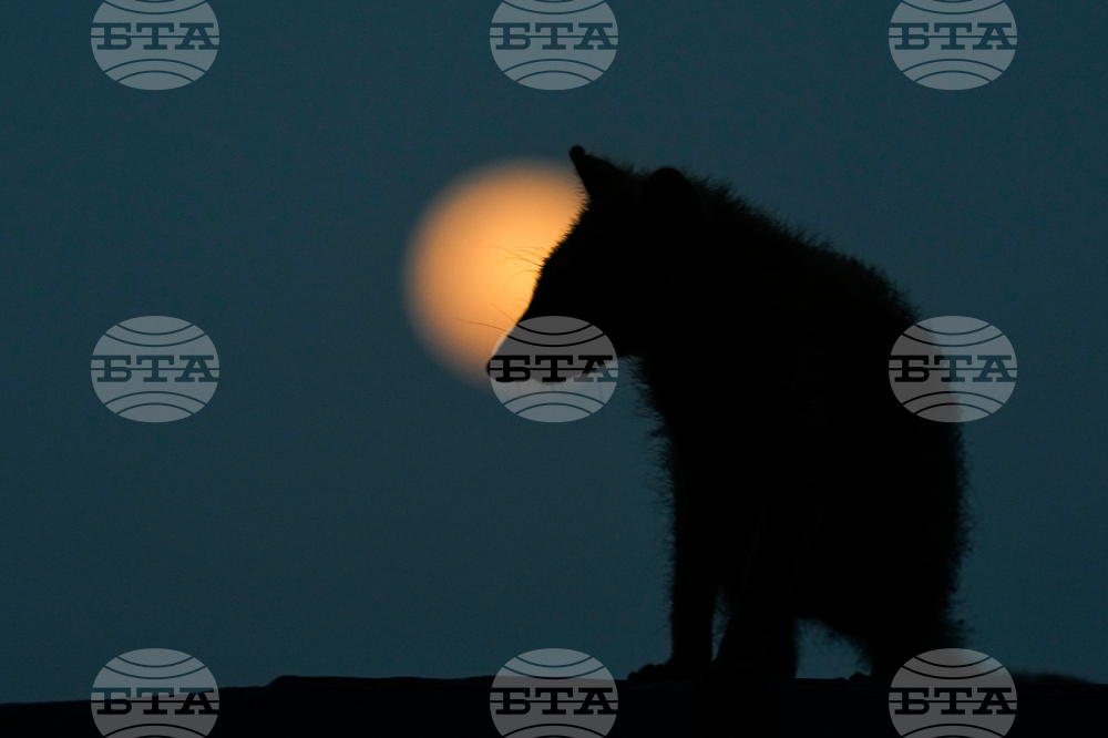 APTOPIX Panama Full Moon