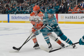 Ducks Sharks Hockey