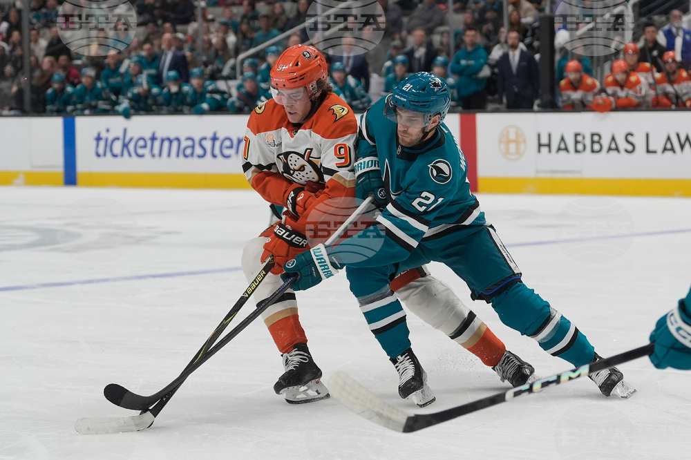 Ducks Sharks Hockey