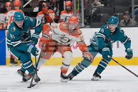 Ducks Sharks Hockey
