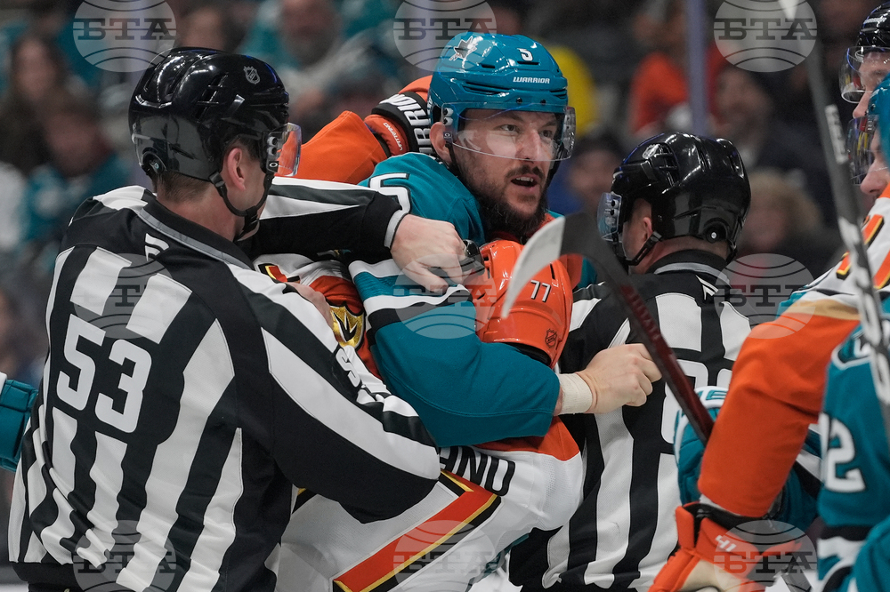 Ducks Sharks Hockey