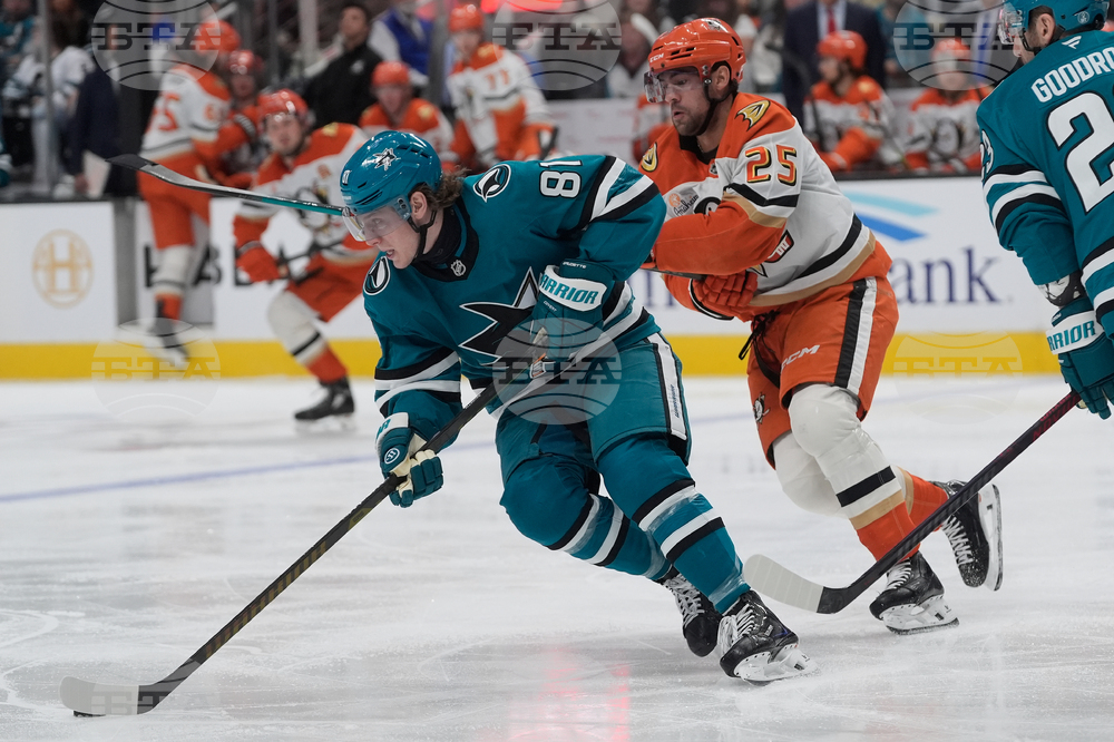 Ducks Sharks Hockey