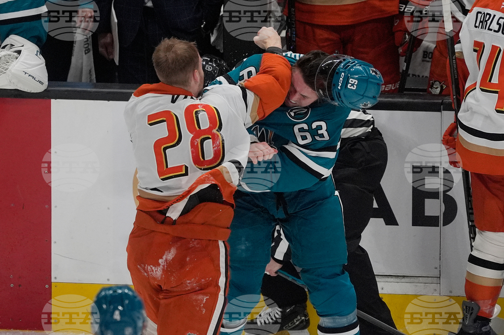 Ducks Sharks Hockey