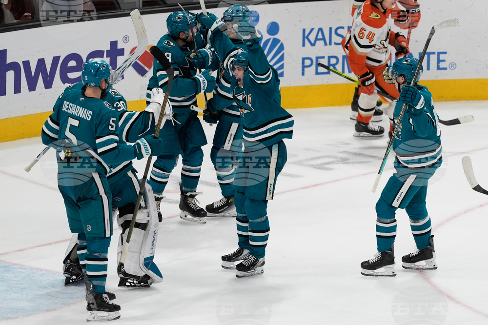 Ducks Sharks Hockey