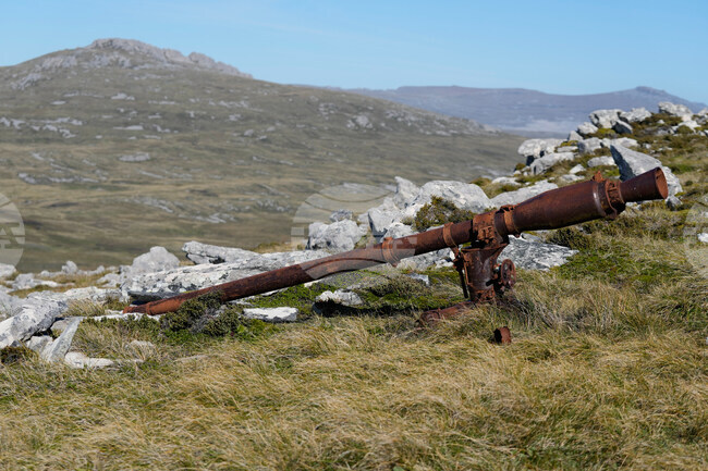 Falkland Islands