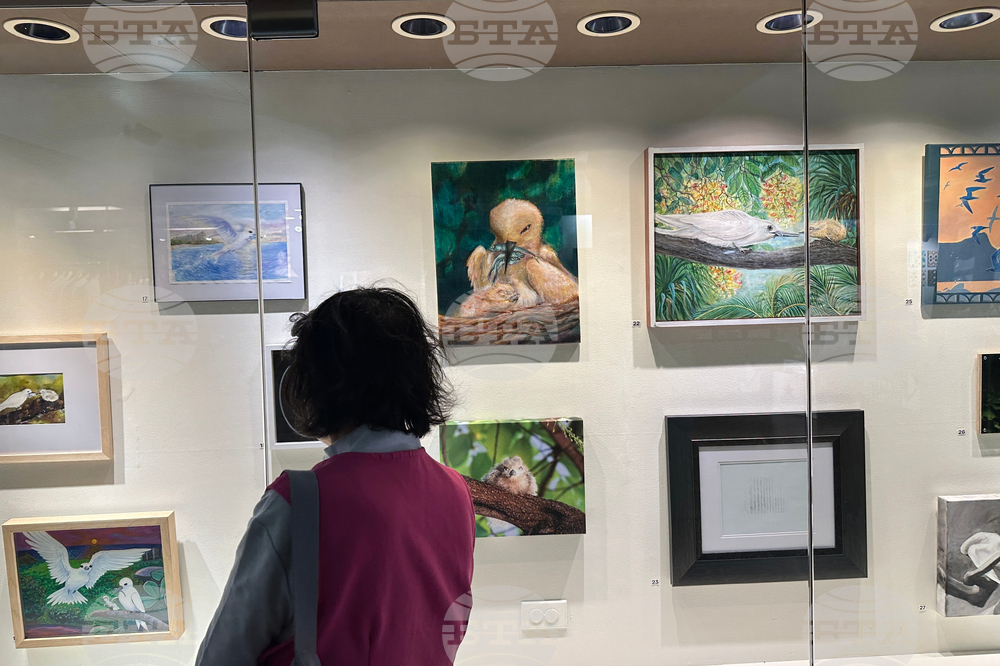 Hawaii Urban Seabird