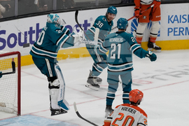 Ducks Sharks Hockey