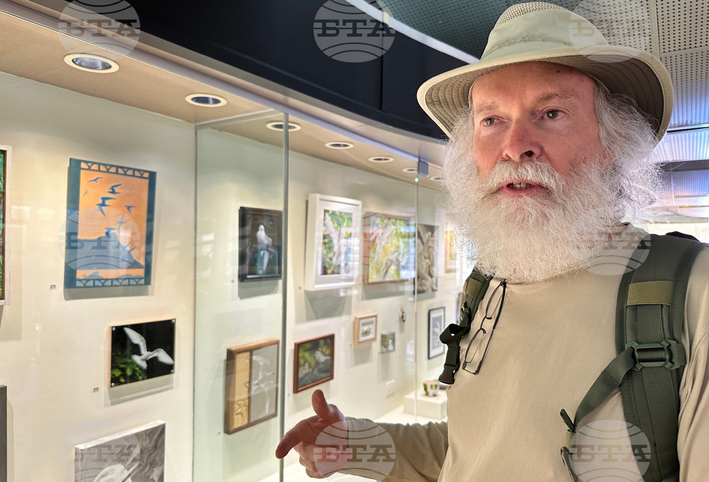 Hawaii Urban Seabird