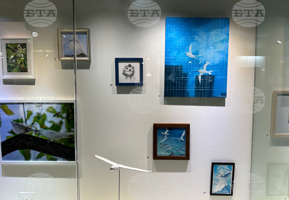 Hawaii Urban Seabird