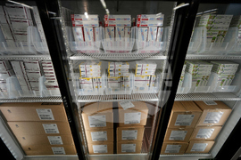 Congress Insulin Act