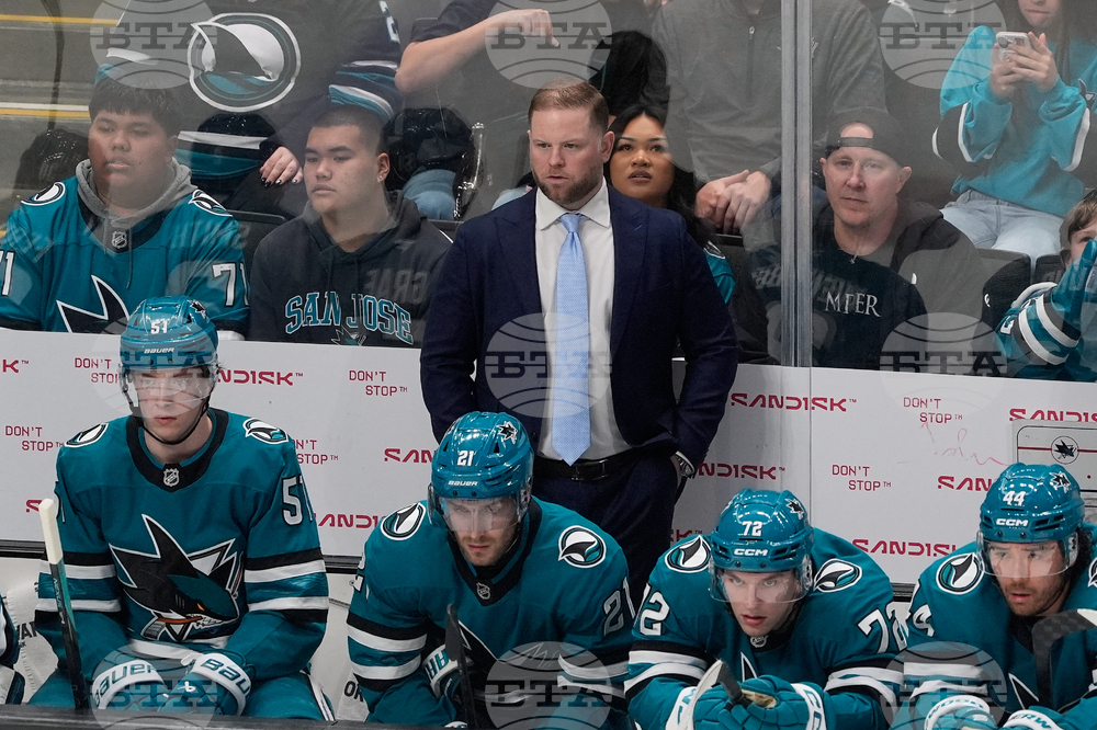 Ducks Sharks Hockey